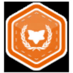 VIIT_Firefox_Club_Badge